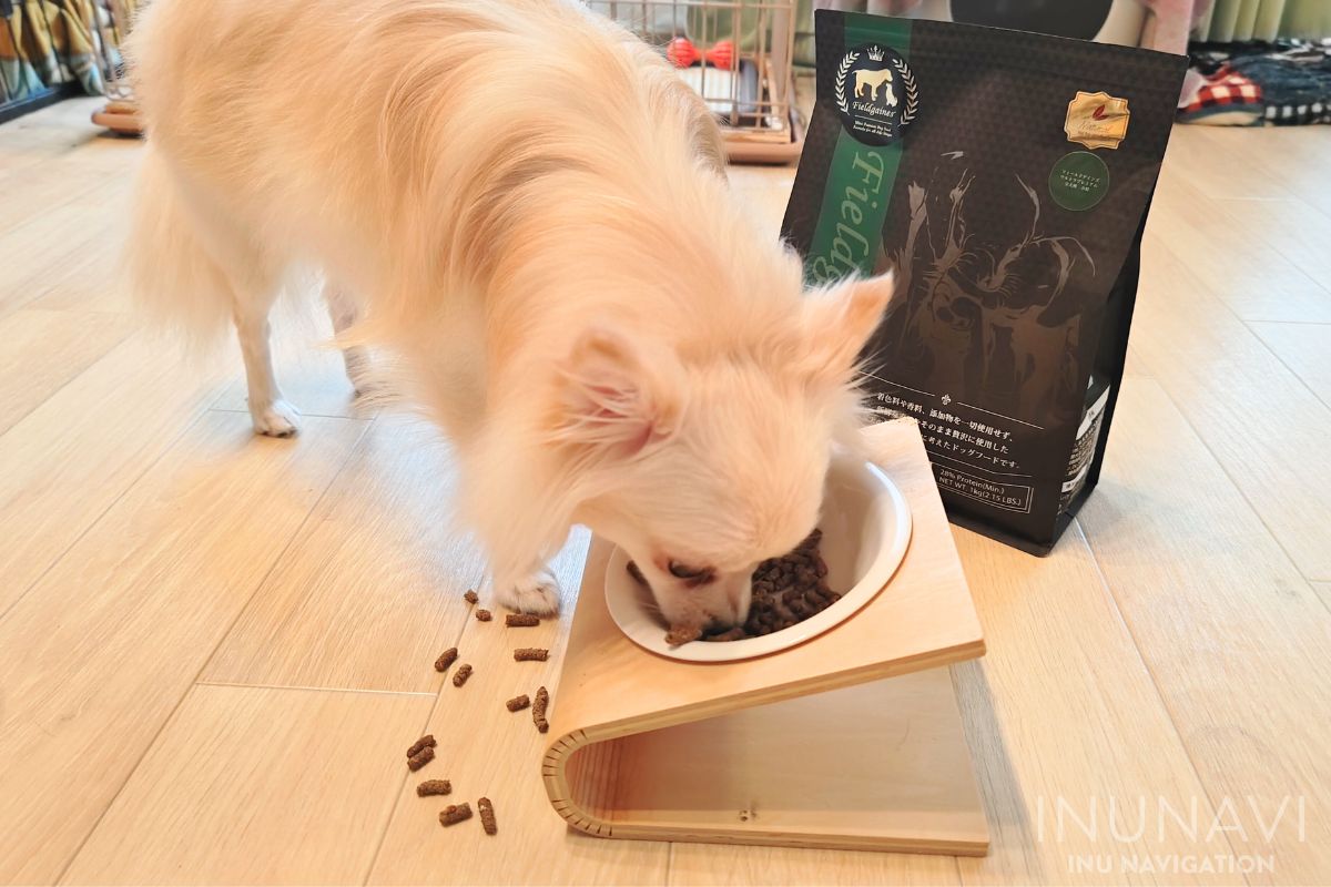 フィールドゲインズ　ウルトラプレミアムを食べる愛犬